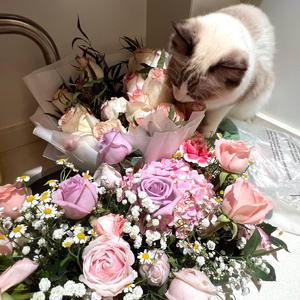 乖…把腿打开做爱
